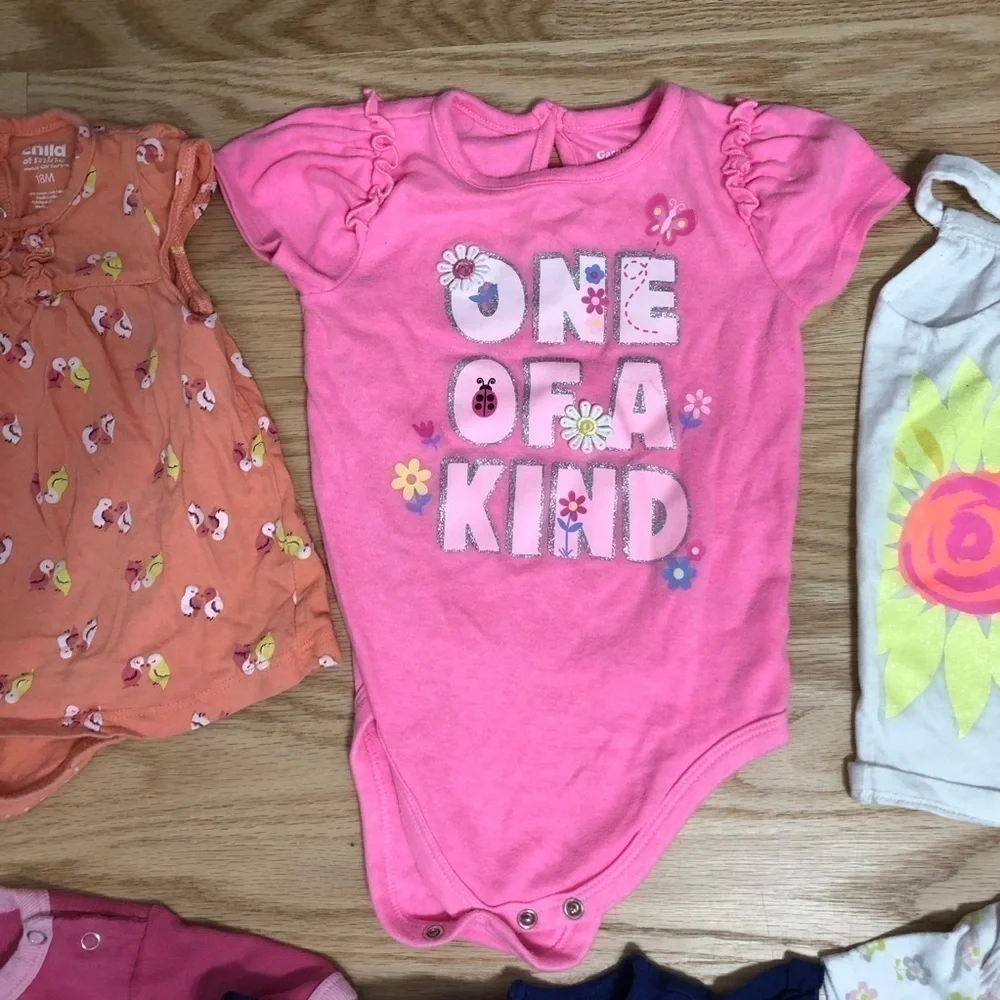 18 month Girls Bundle Tops Onesies Mixed Brands Carter’s